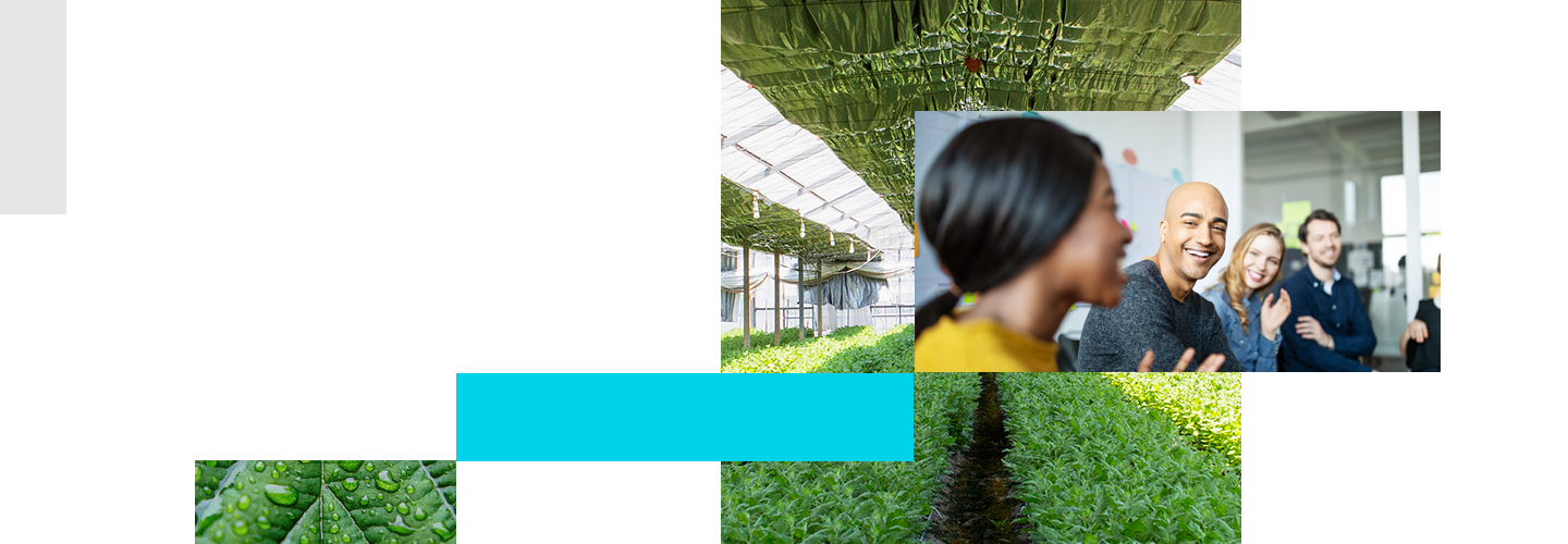 thin-banner-Our commitment to sustainability